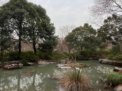 -上海滨江森林公园