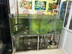 -凯盈阁·顺德私房菜·桑拿鸡