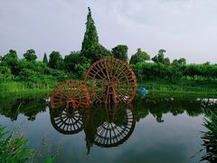 -长田漾湿地公园