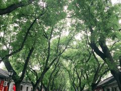 -北京国子监胡同