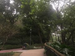 -金鸡山公园