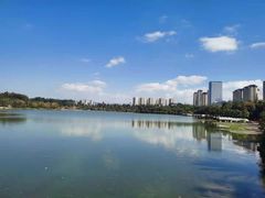 -洛龙公园