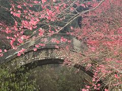 -车溪民俗旅游区