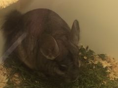 -龙猫仔乐园(惠福东路店)