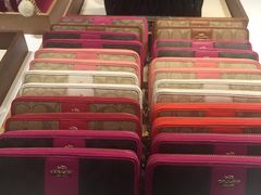 -COACH蔻驰(百联奥特莱斯广场店)