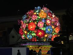 -锦江乐园舞狸花花游园会(夜场专享)