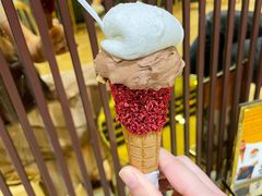 -VENCHI 闻绮(北京国贸商城店)