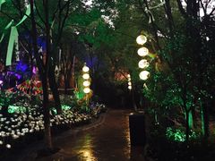 -横店影视城梦幻谷园区