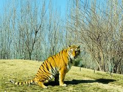 -北京野生动物园