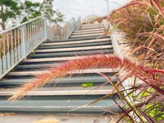 -白石龙音乐公园