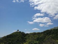 -荣德灶台鱼(圣泉寺店)