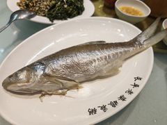 -长平老姿娘夜粥(平东一街店)