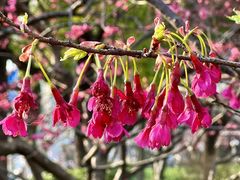 -四川北路(地铁站)