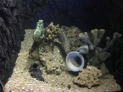 -常州海昌海洋探索馆