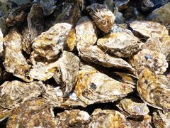 -四海蒸鲜蒸汽海鲜自助(北戴河店)