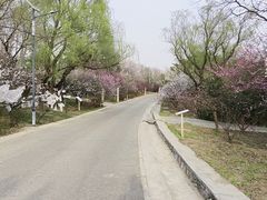 -北京鹫峰国家森林公园