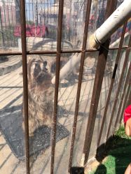 -萌宠亲子动物乐园(槐房万达店)