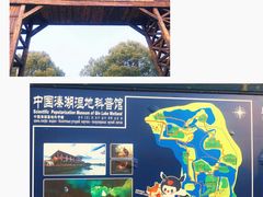 -溱湖国家湿地公园