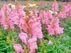 -咸阳湖景区-统一广场