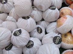 -百果园PAGODA(应元路店)