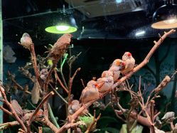 -Zoolung Zoolung动物主题公园(海信广场店)