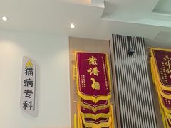 -半岛宠物医院24小时(科华中路店)