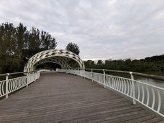 -同里国家湿地公园