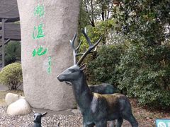 -溱湖国家湿地公园