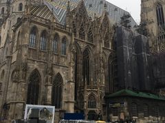 -斯蒂芬主教座堂(Stephansdom)