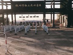 -杭州湾海上花田景区