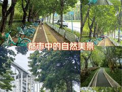 -科兴科学园