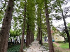 -青岛海滨风景区