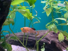 -上海海洋水族馆