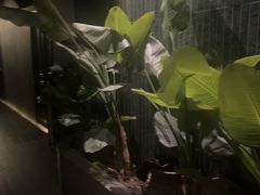-涟LIAN·泰式按摩·MASSAGE·SPA(华强北店)