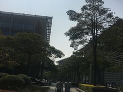 -中国移动南方基地