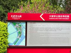 -大望京公园
