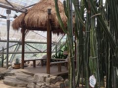-南山植物园