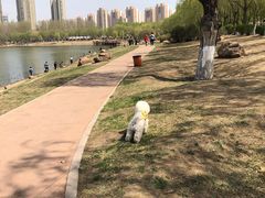 -丁香湖公园