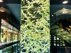-广东中医药博物馆