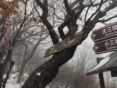 -三块石国家森林公园