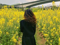 -贵阳市花溪国家城市湿地公园