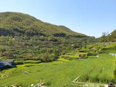 -四明山国家森林公园