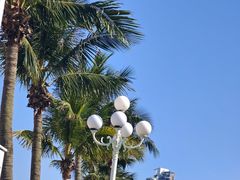 -珠海市博物馆