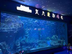 -多彩贵州城极地海洋世界