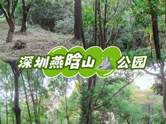 -燕晗山郊野公园
