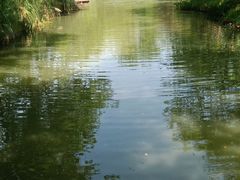 -西溪国家湿地公园