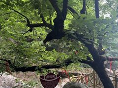 -洛阳白云山景区