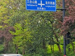 -野蔓果·山野菜(西湖景区·龙井茶田店)