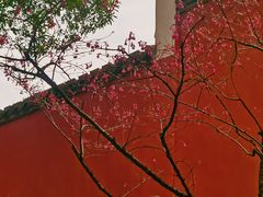 -乌山风景区