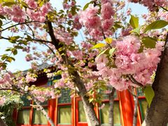 -北京颐和宾馆